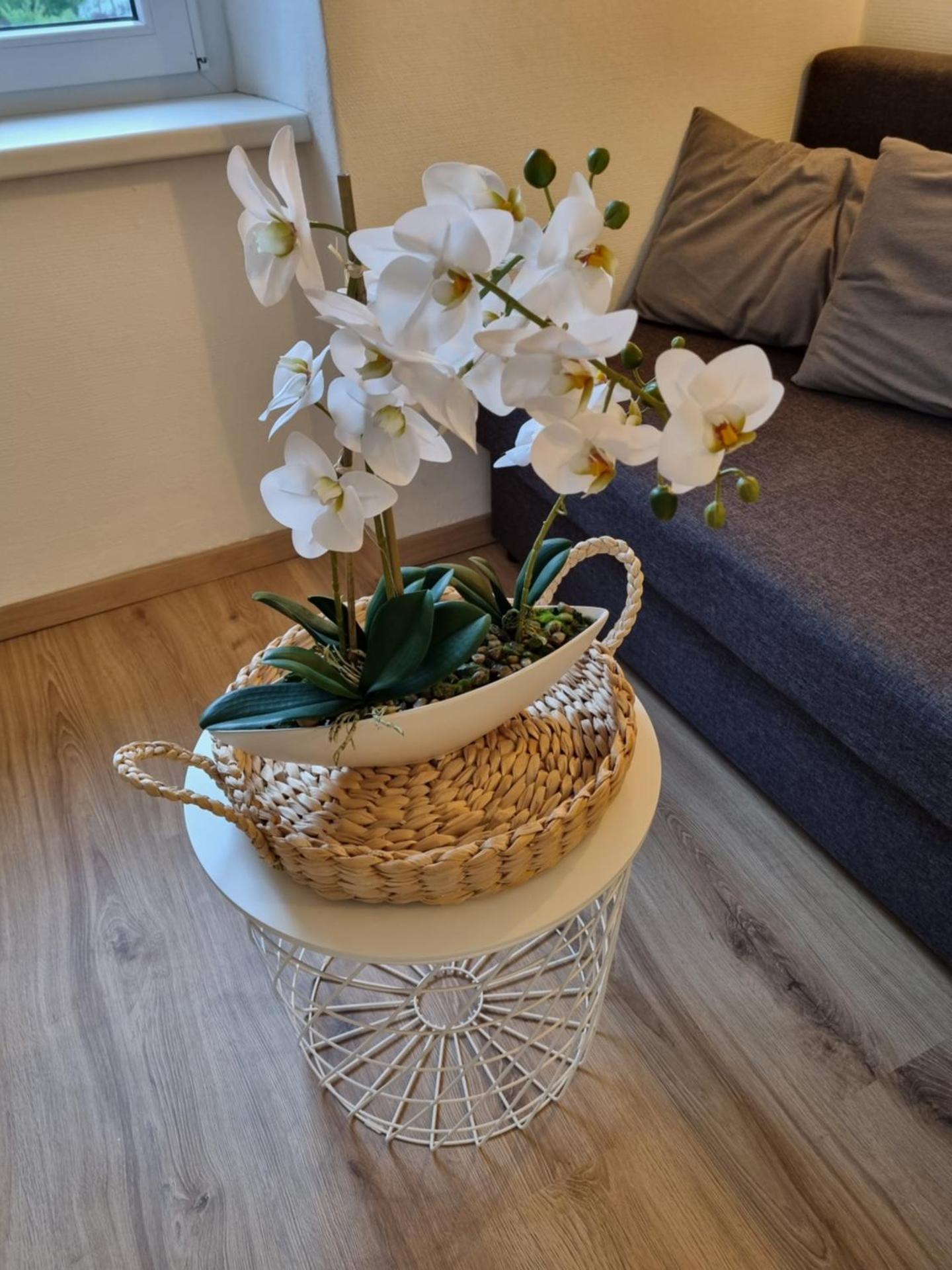 Apartment Seebachhof