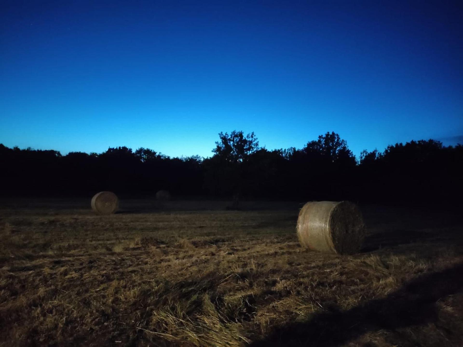 Colonica Il Picchio Verde
