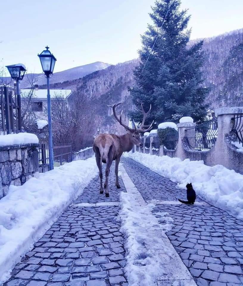 Casa vacanze al Castello