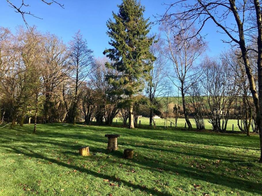 Daffodil House , West Wales