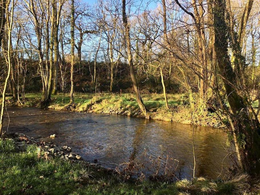Daffodil House , West Wales