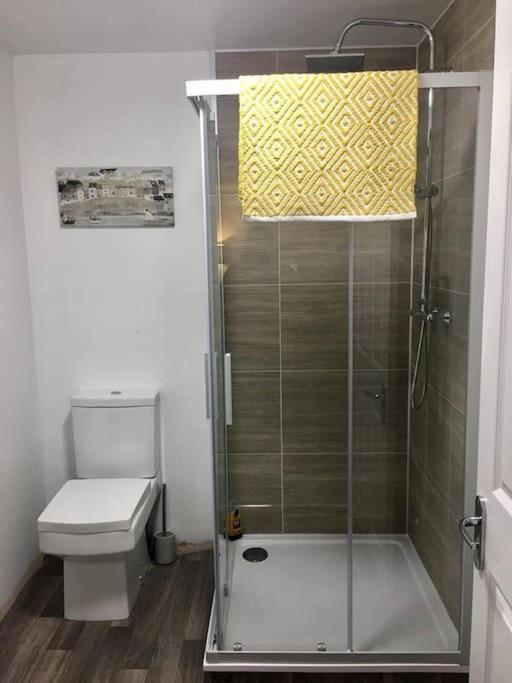 Daffodil House , West Wales