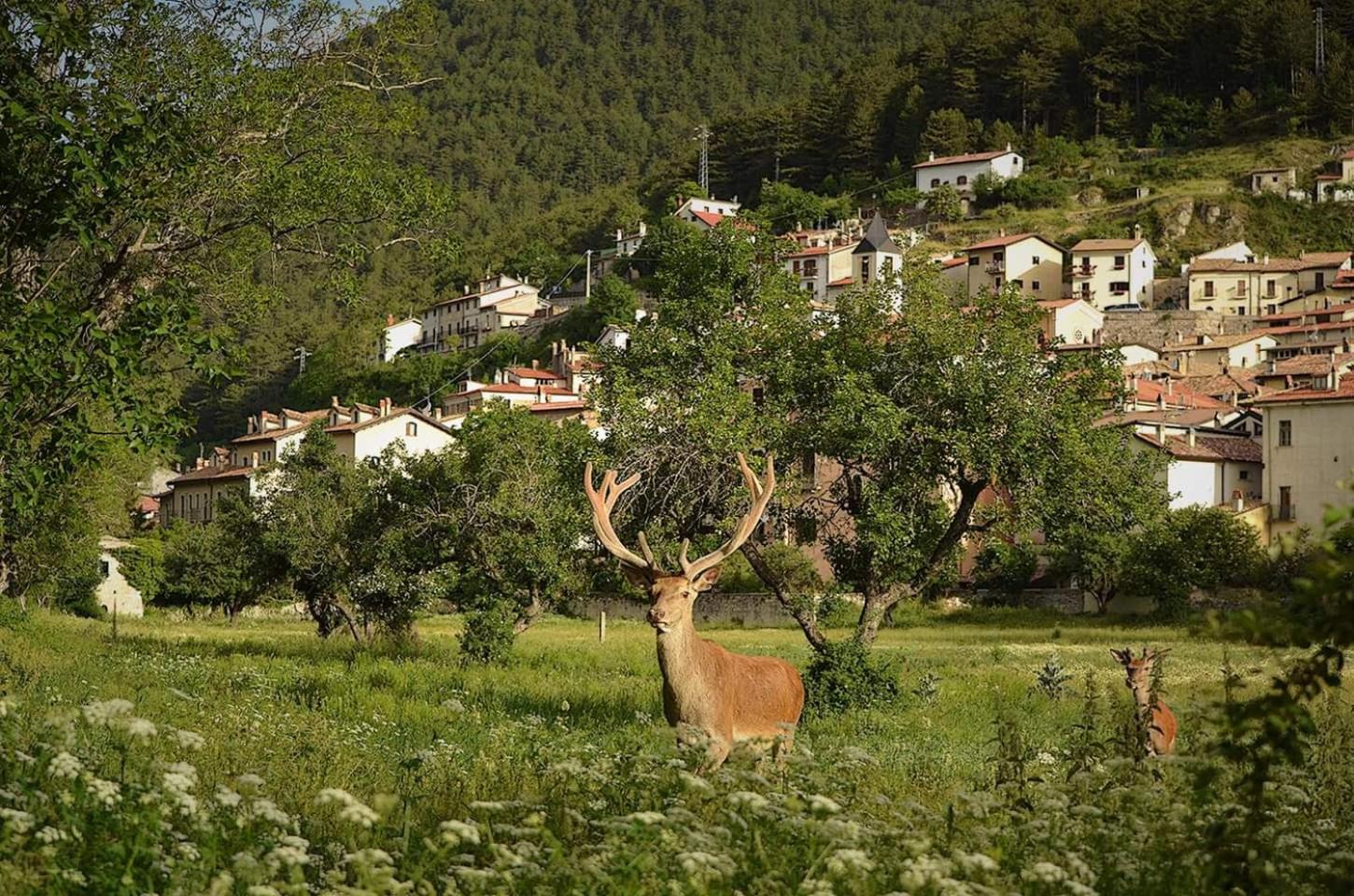 Casa vacanze al Castello