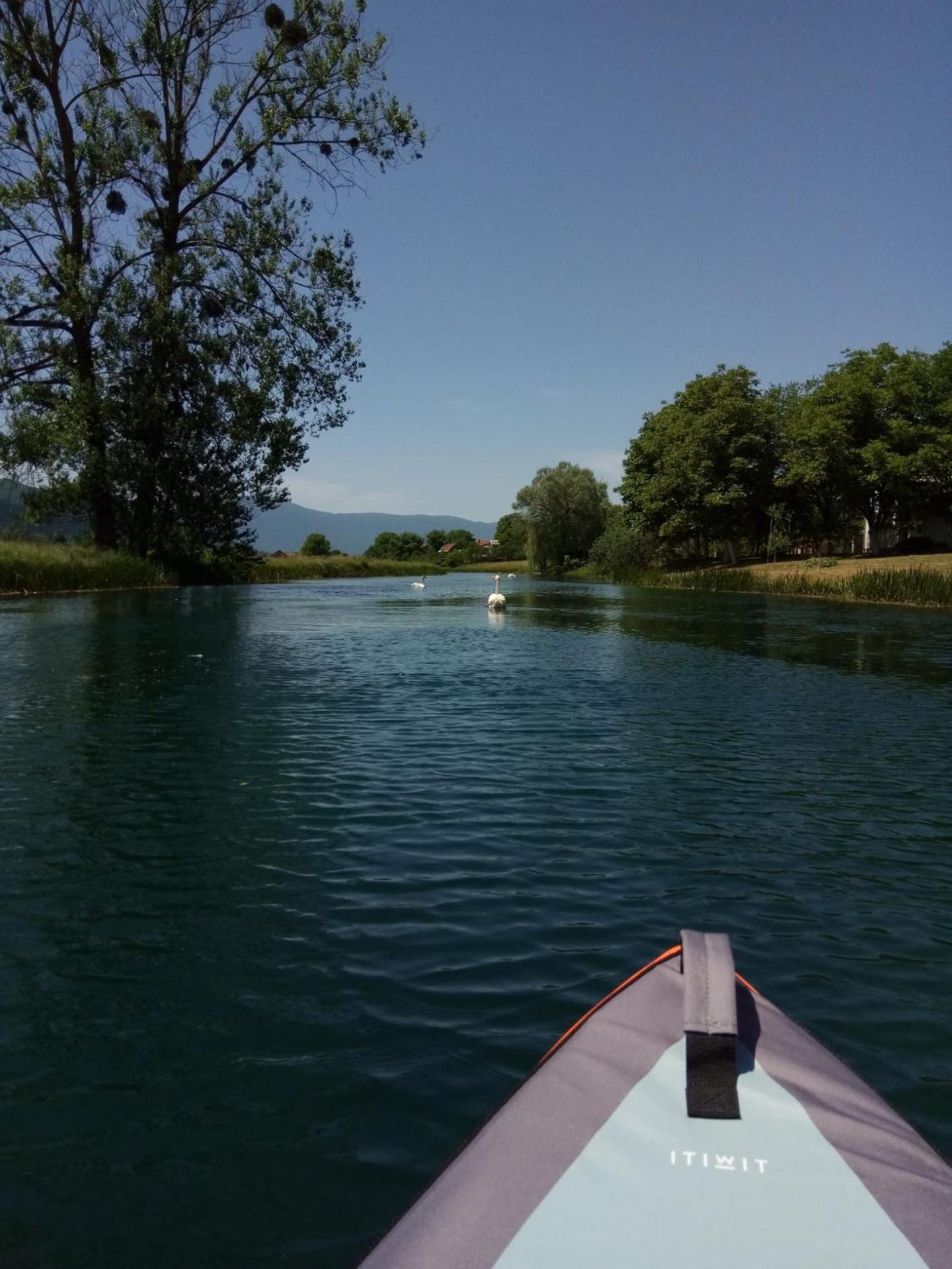 Studio apartman KIKA