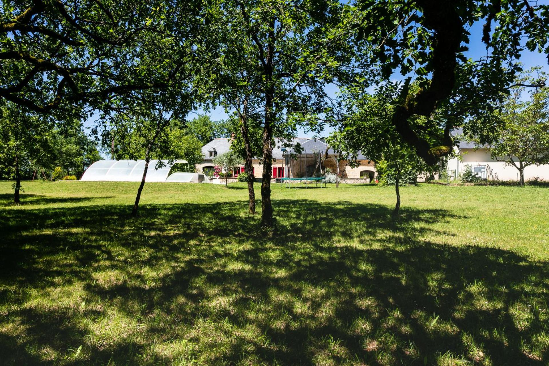 Les Oiseaux de Passage