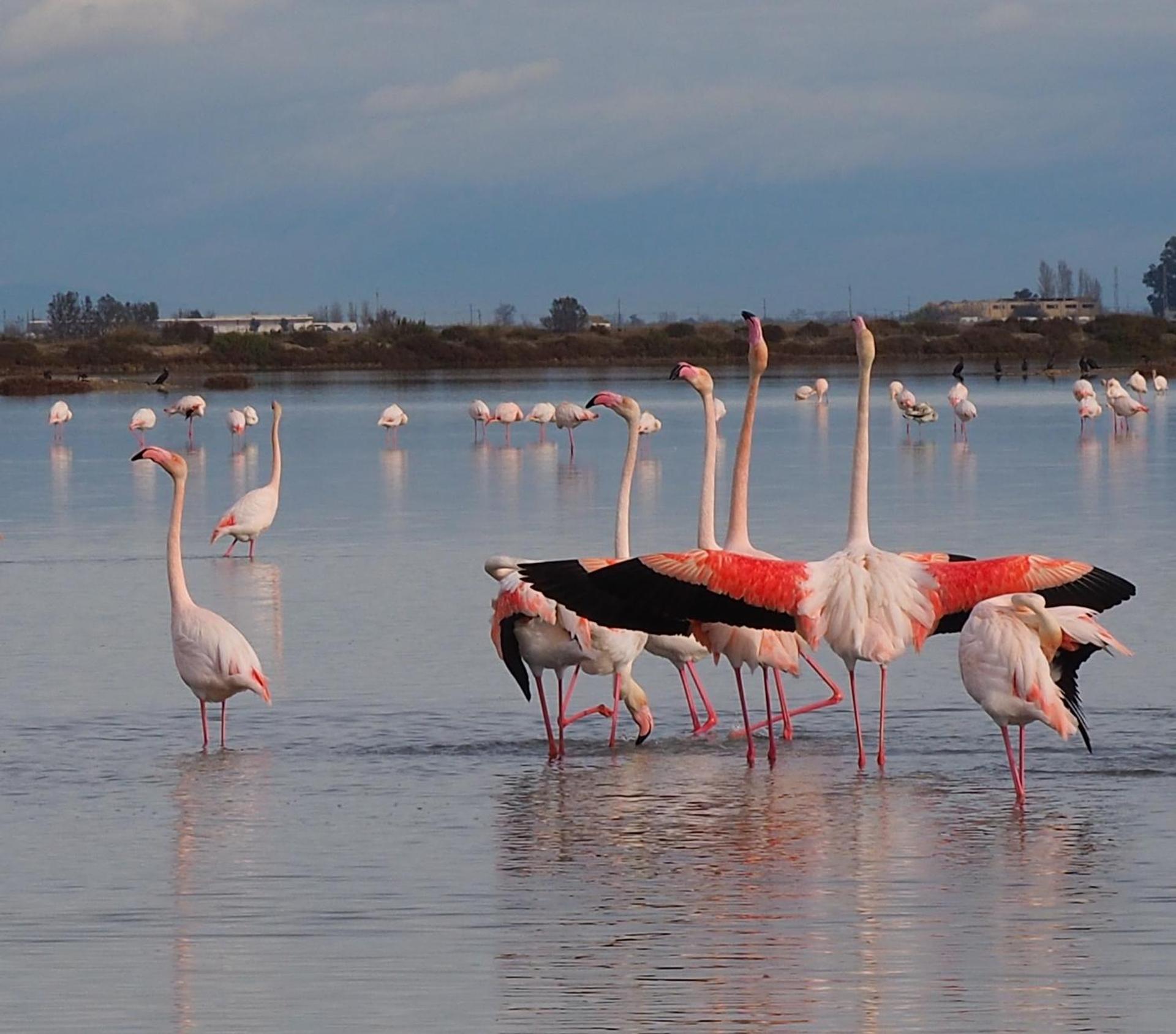 Apartamento Plaza de la Iglesia