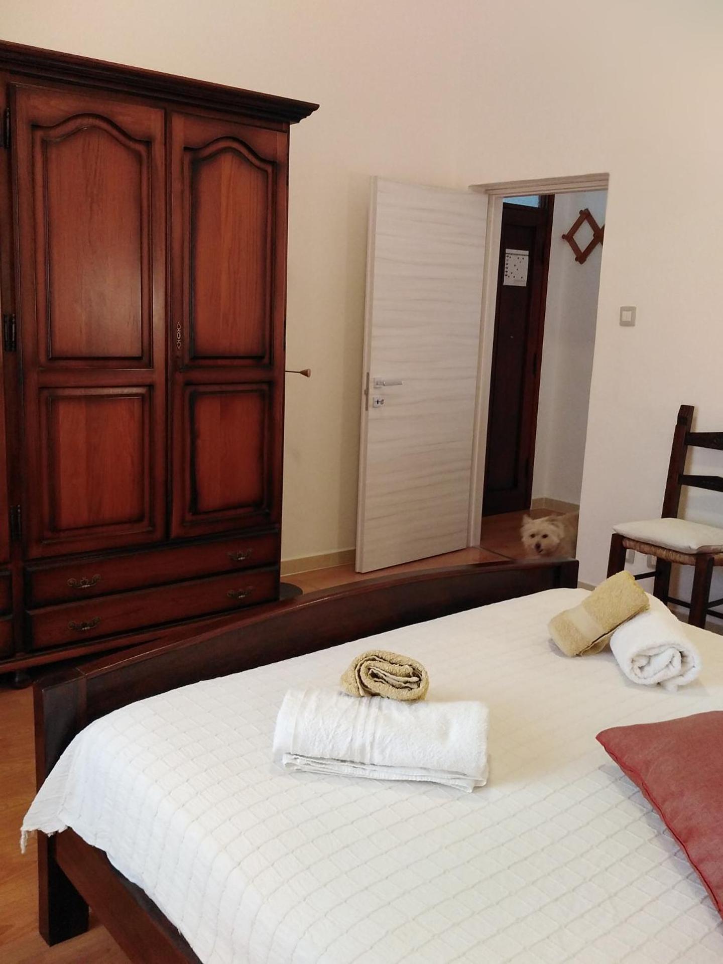 Flowered House with garden