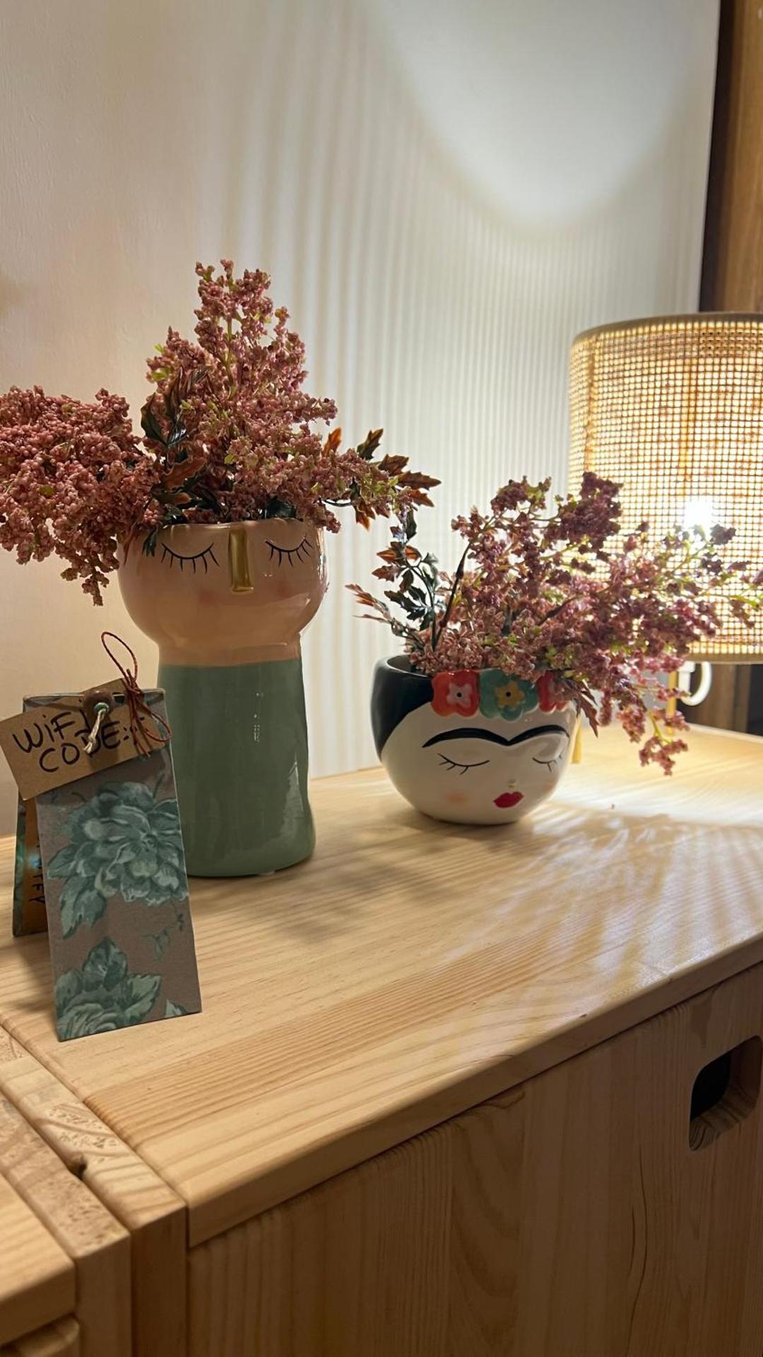 Pis amb molt d'encant al centre d'Olot