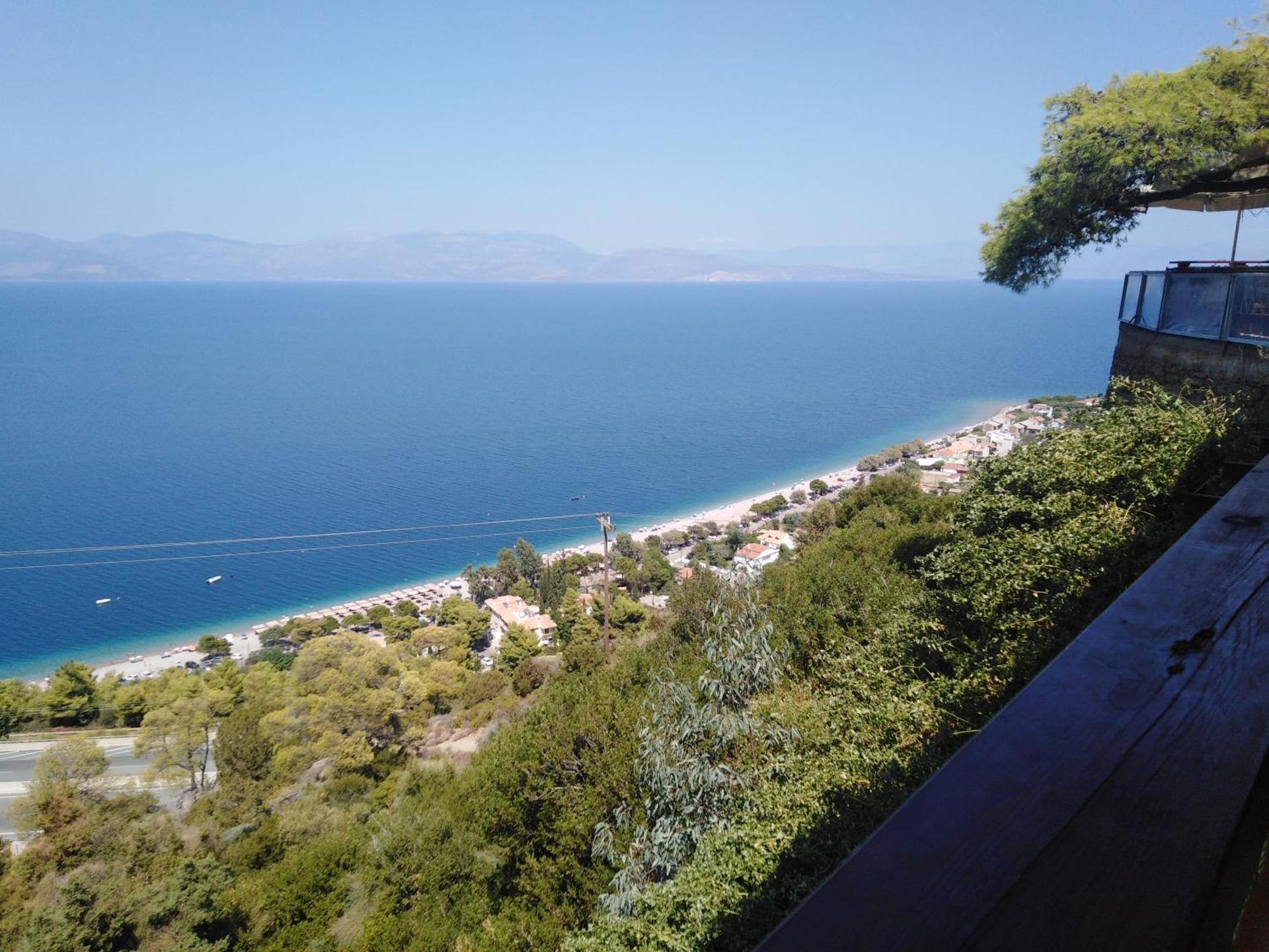 ΦΙΛΥΡΑ ΠΕΤΡΙΝΟ