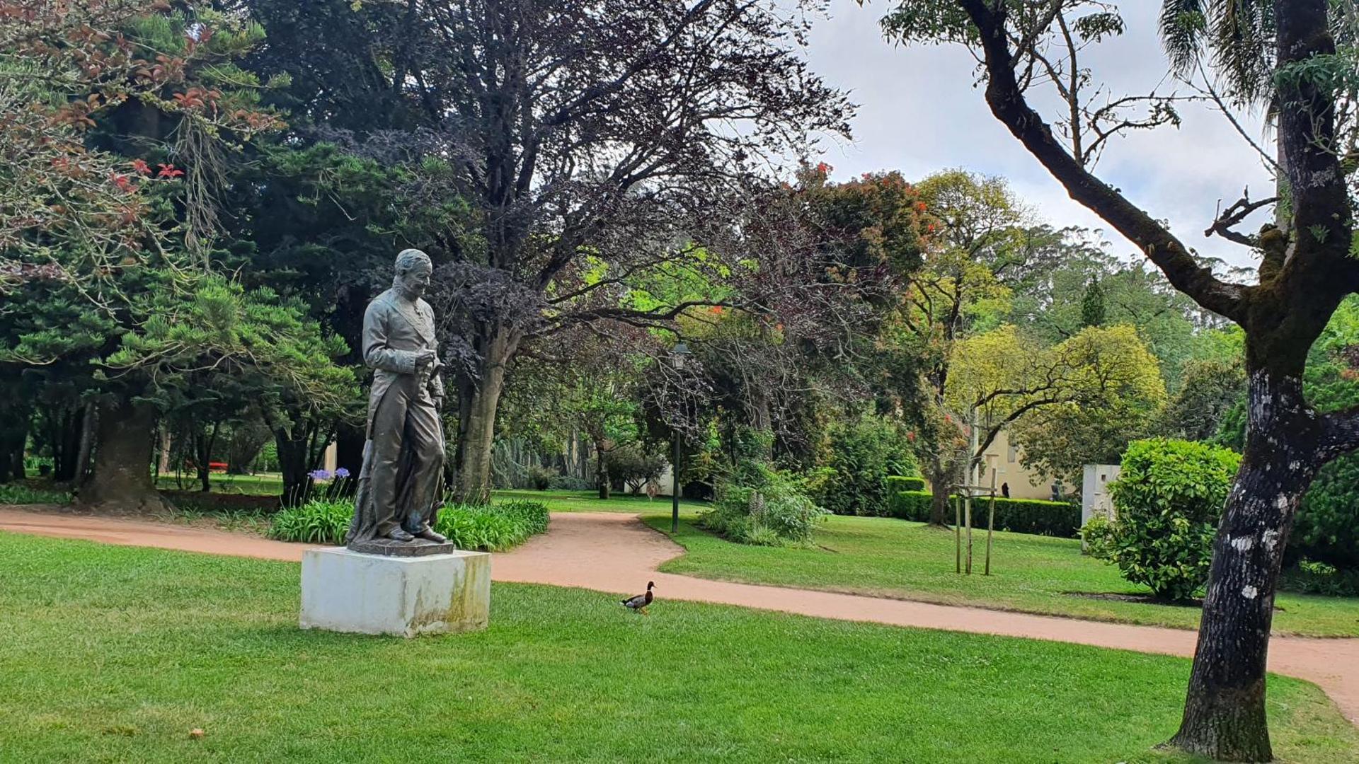 Caldas da Rainha's Green & White