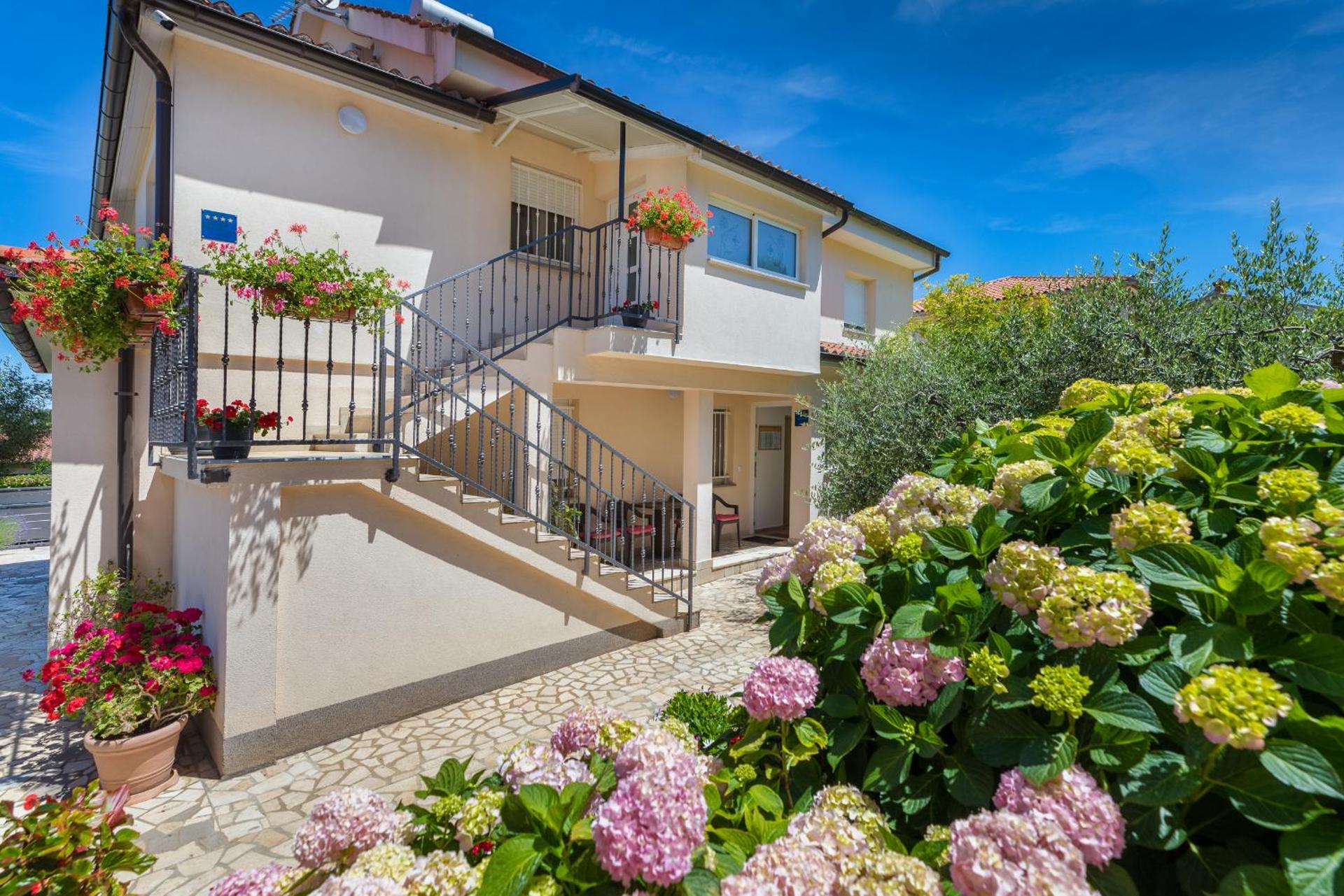 Apartments Hortensia