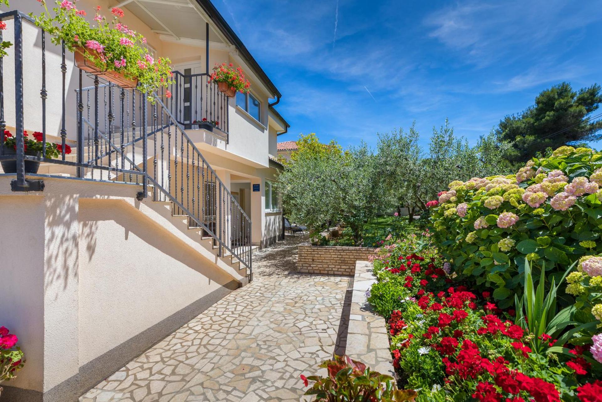 Apartments Hortensia