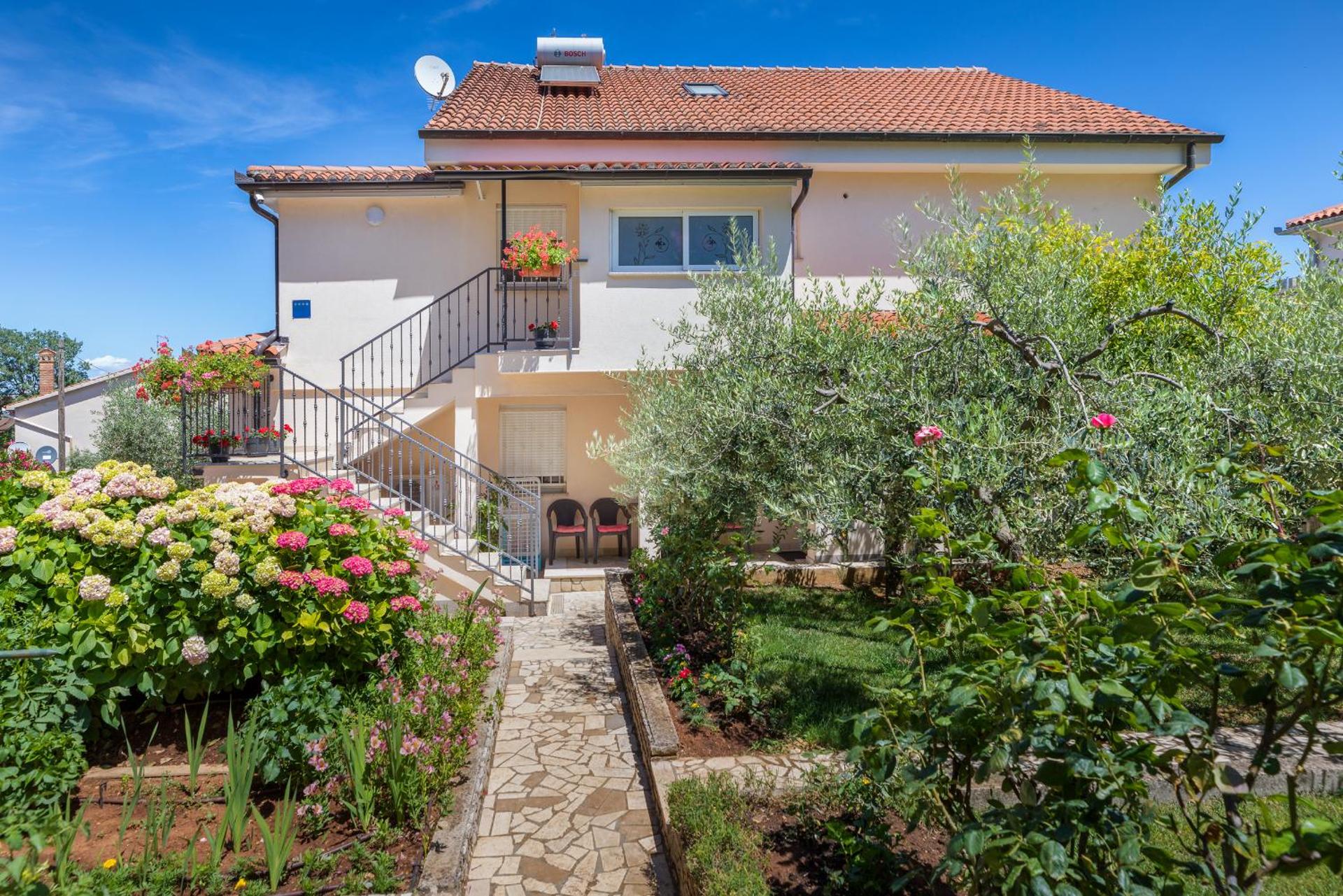 Apartments Hortensia