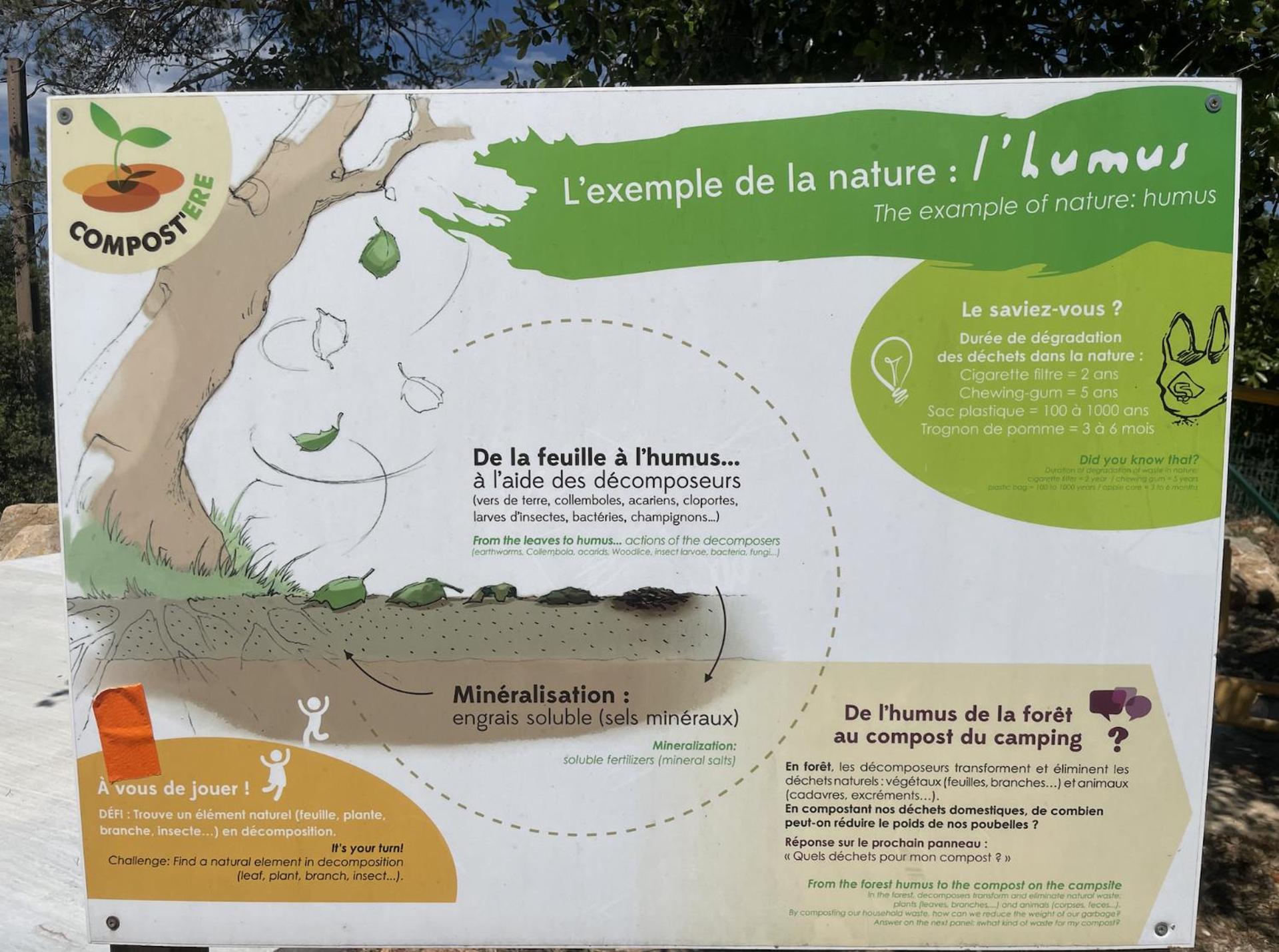 Logo/Certificate/Sign