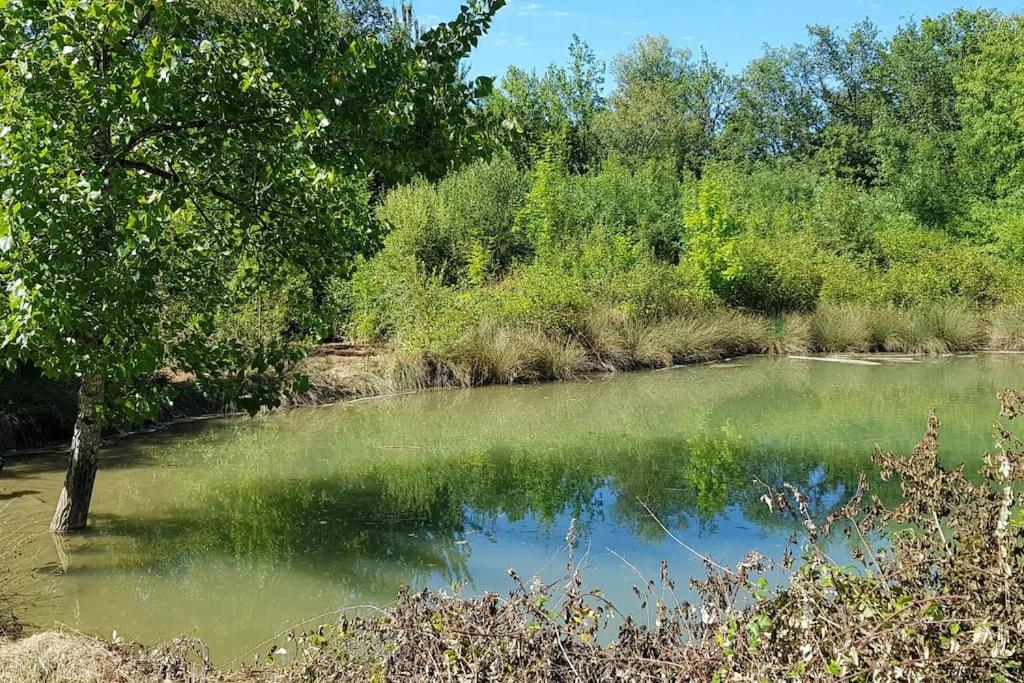 Gîte de campagne L'Estressol