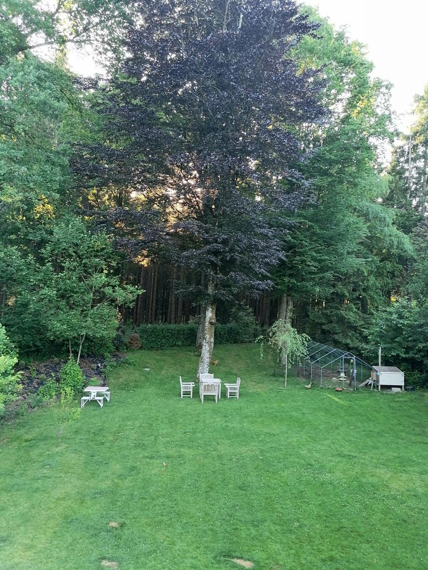 Les studios du Domaine d'Eva