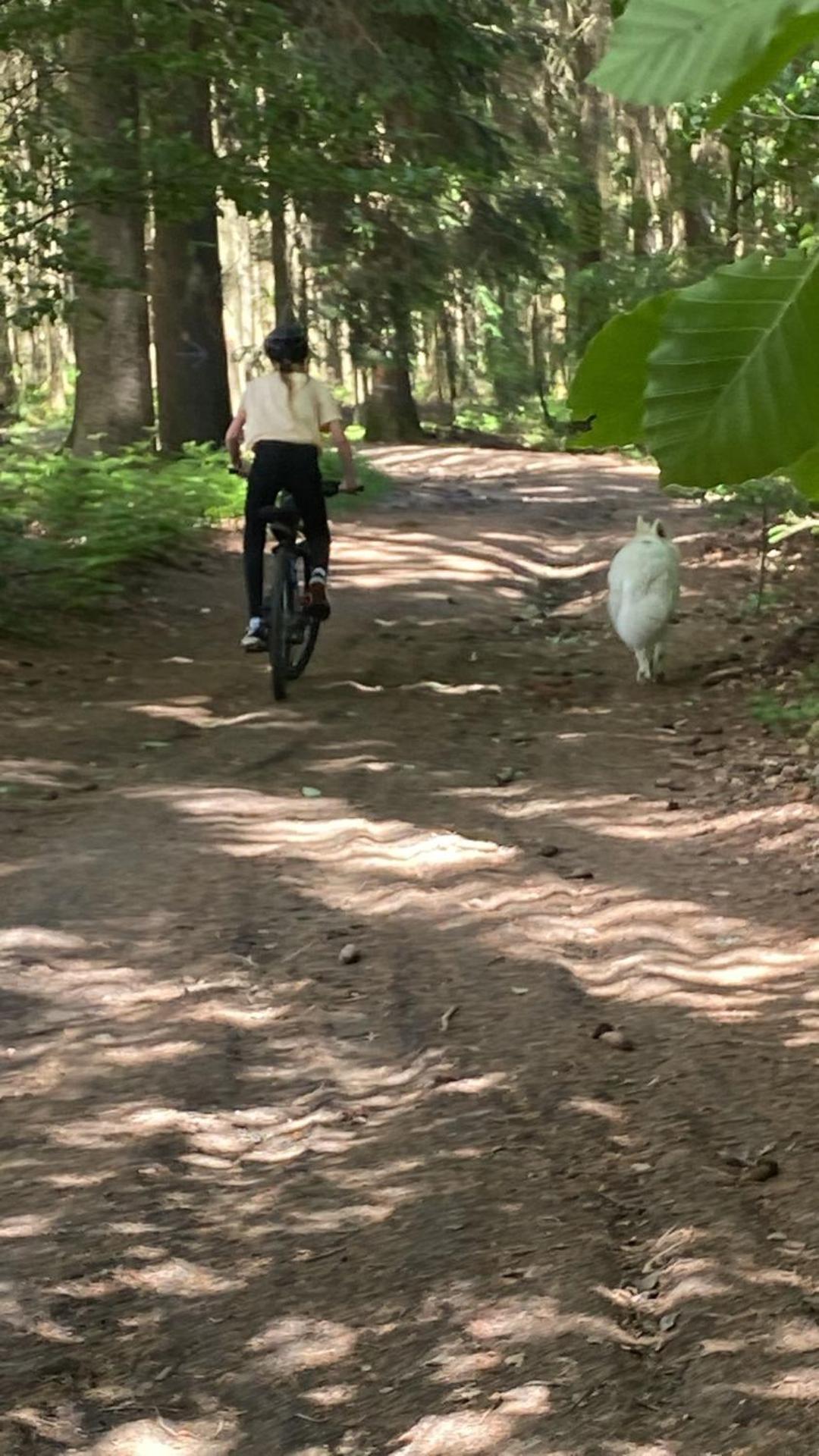 Les studios du Domaine d'Eva