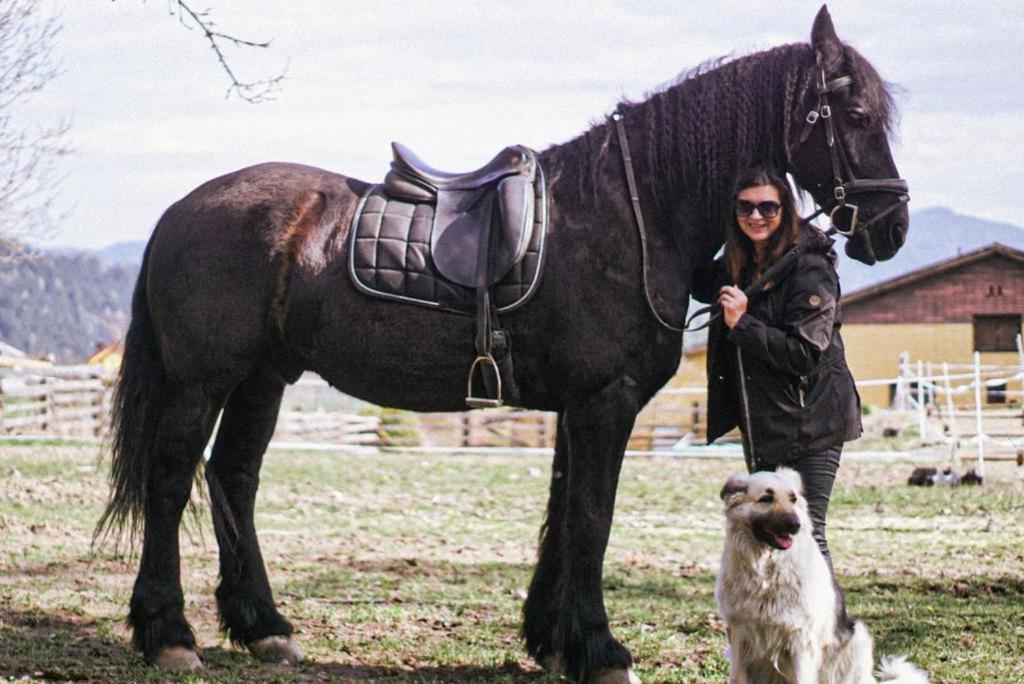 Andis Reiterstüberl, Rainweg 1 , 9311 Überfeld