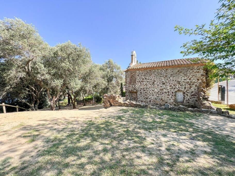 Apartament 'Es Botànic'