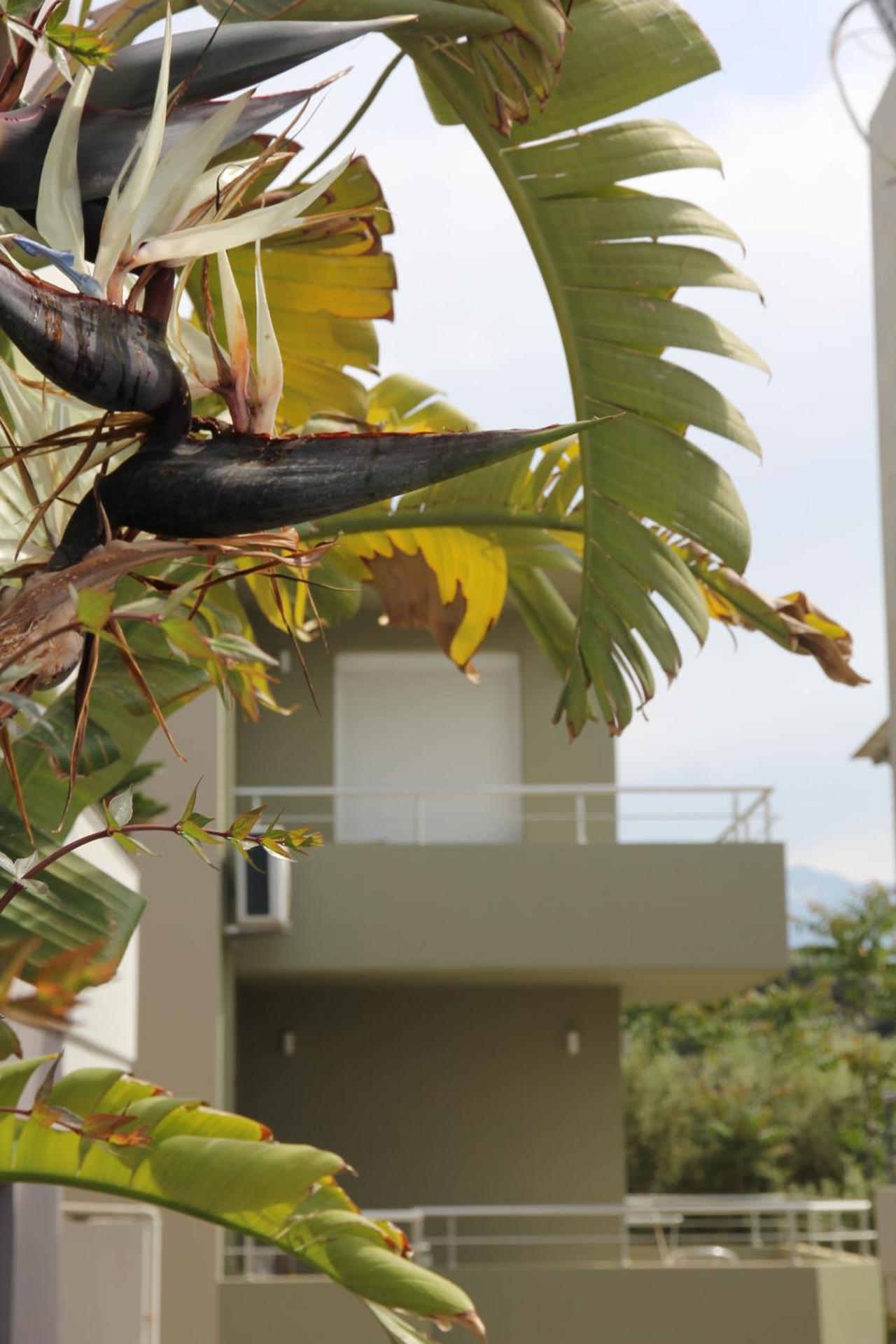 Kamares Apts - Antonis Cozy Maisonette