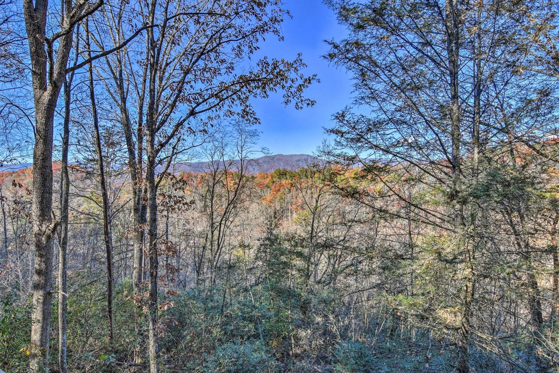 Natures Retreat with Hot Tub 7 Mi to Bryson City