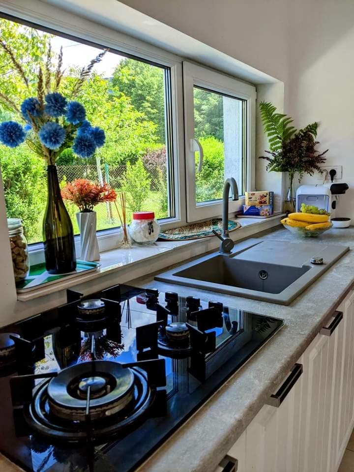 Hill House Valiug Crivaia