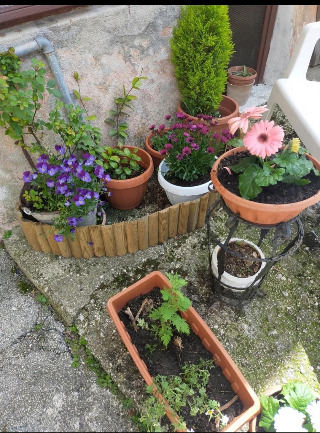 Monolocali Tra Rieti e Terminillo e lago del Salto