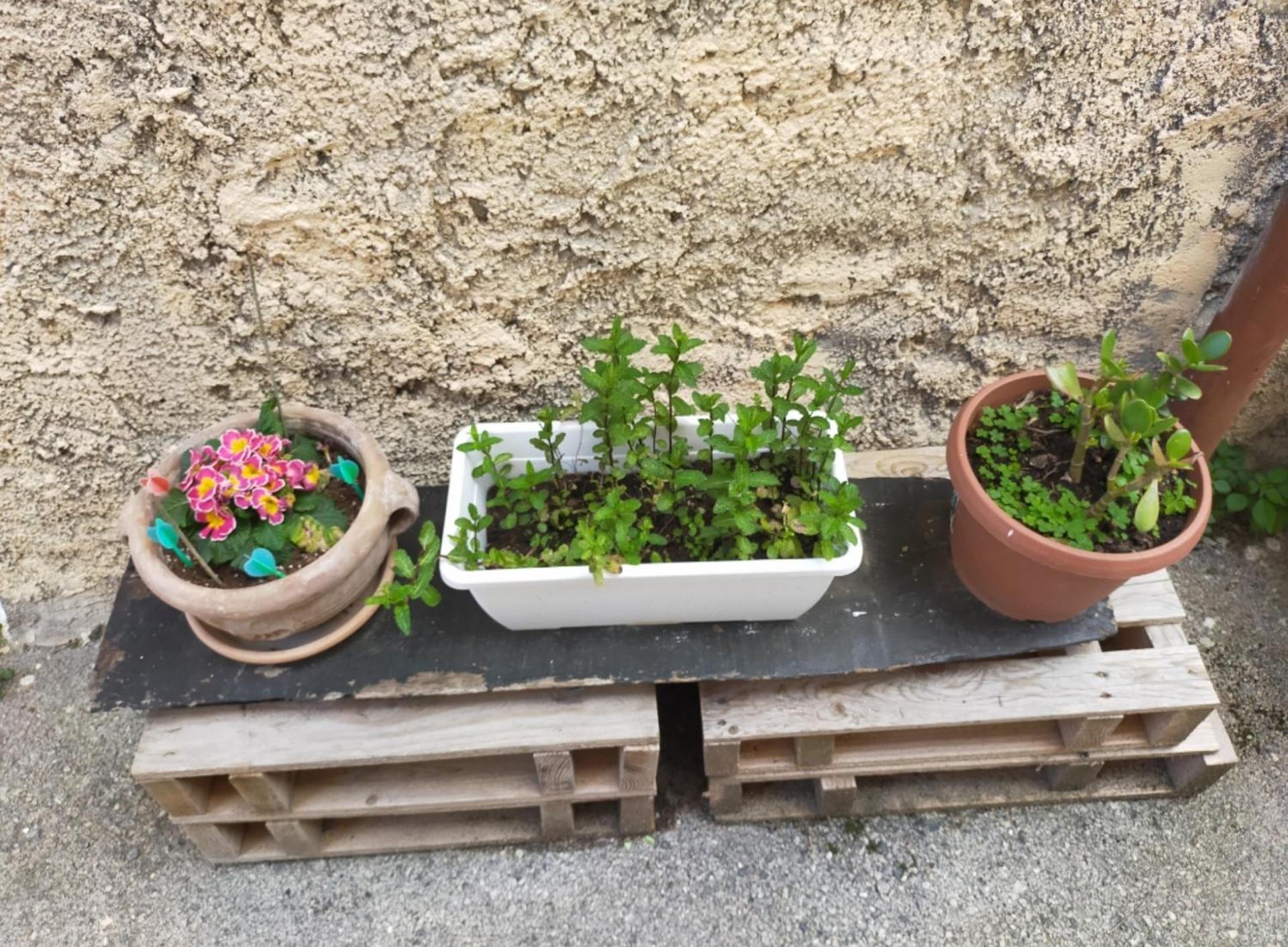 Monolocali Tra Rieti e Terminillo e lago del Salto