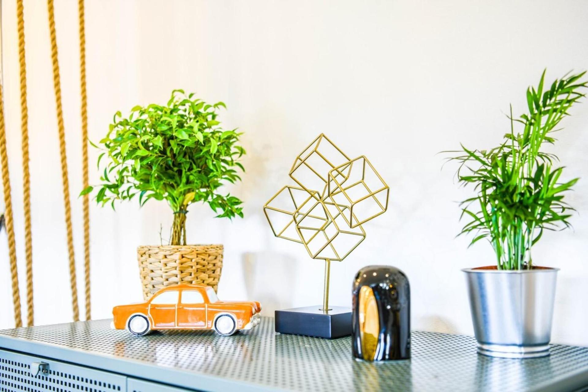 Le Bel Air - Loft spacieux centre de Marseille