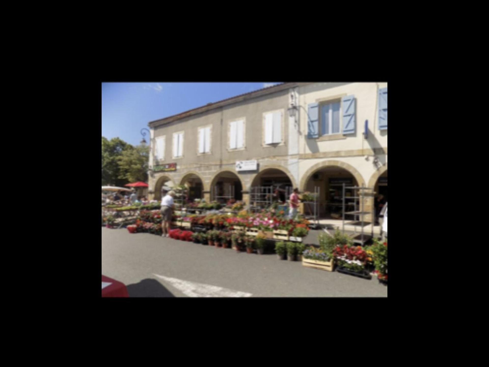 No 5 Plaisance Studio