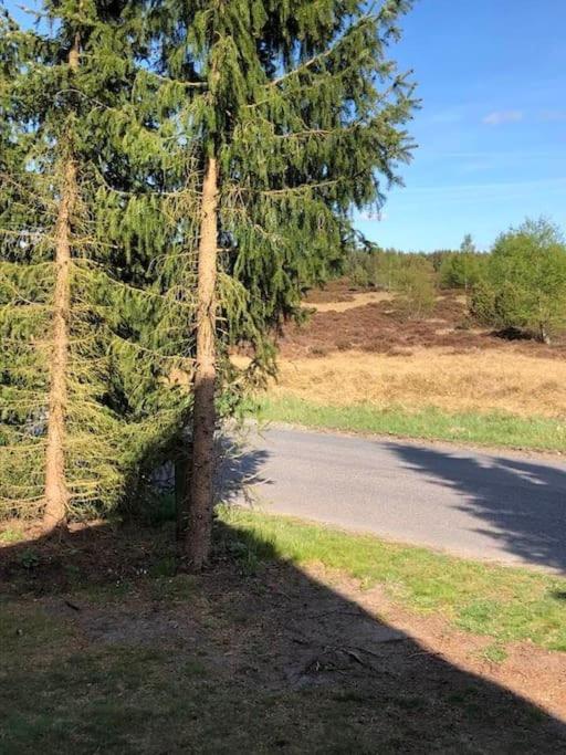 Maren's apartment on Randbøl Heath