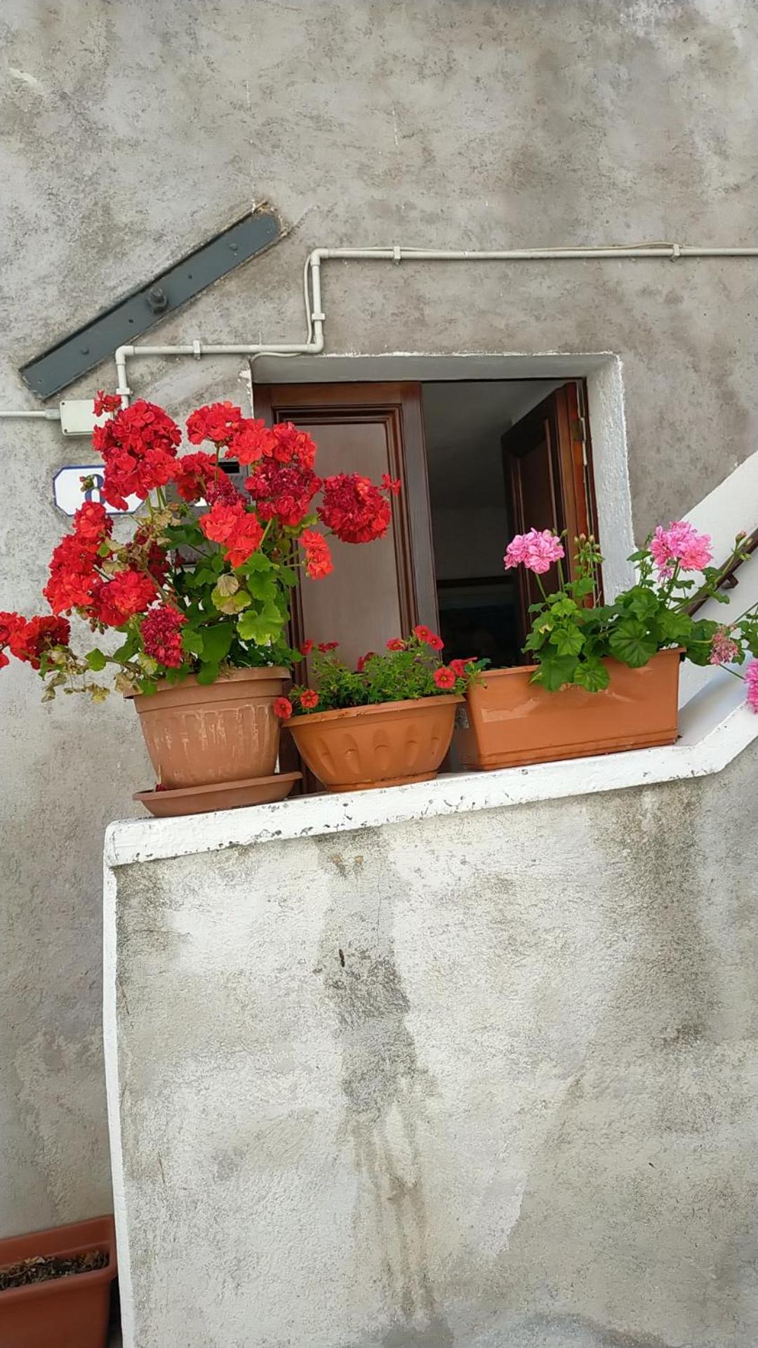 Monolocali Tra Rieti e Terminillo e lago del Salto