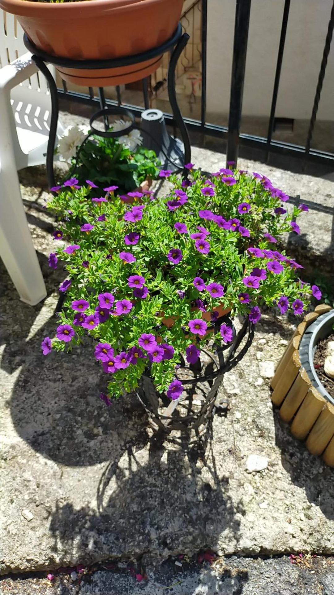 Monolocali Tra Rieti e Terminillo e lago del Salto