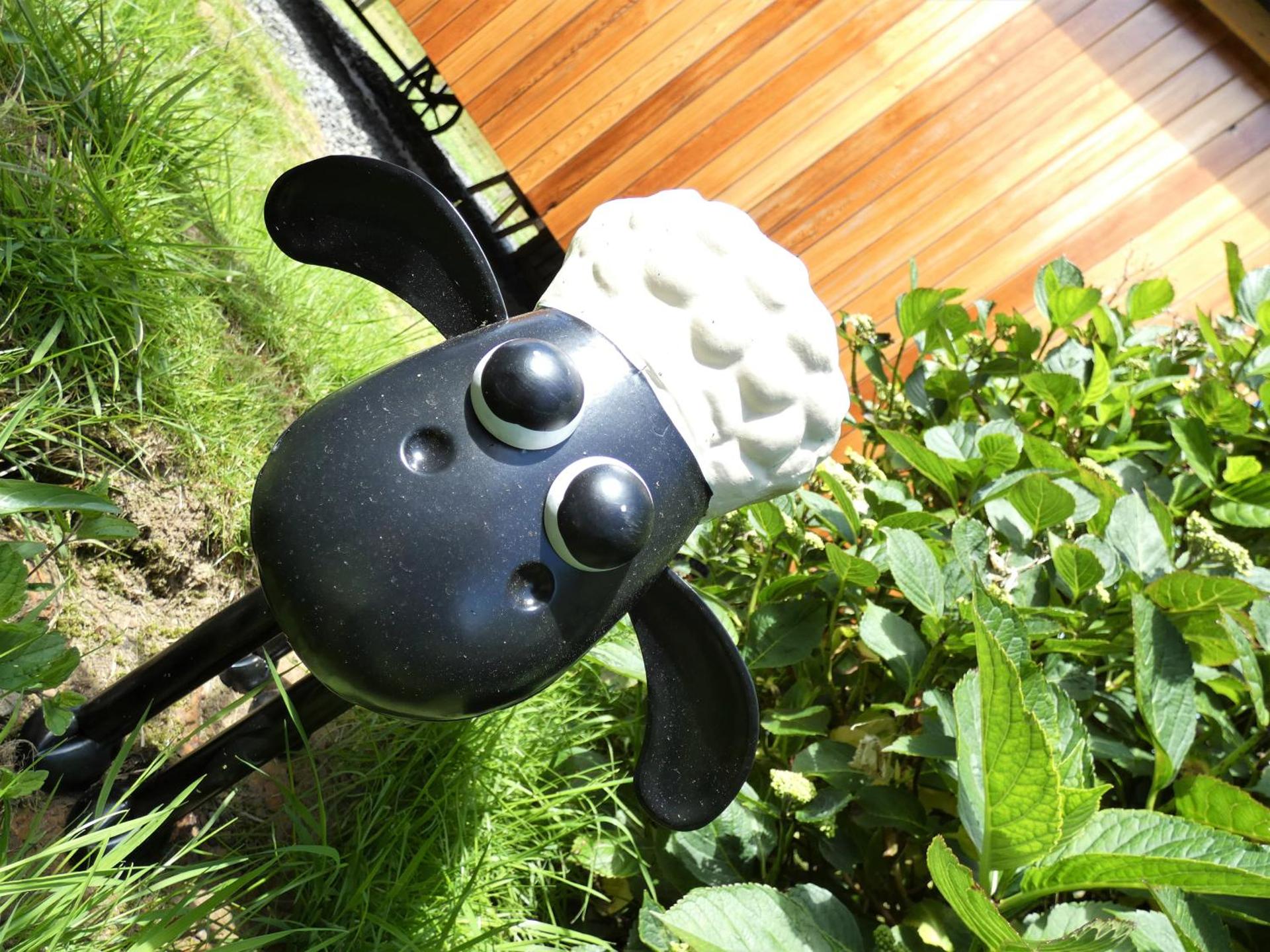 Abergwynant Farm Glamping & Apartments