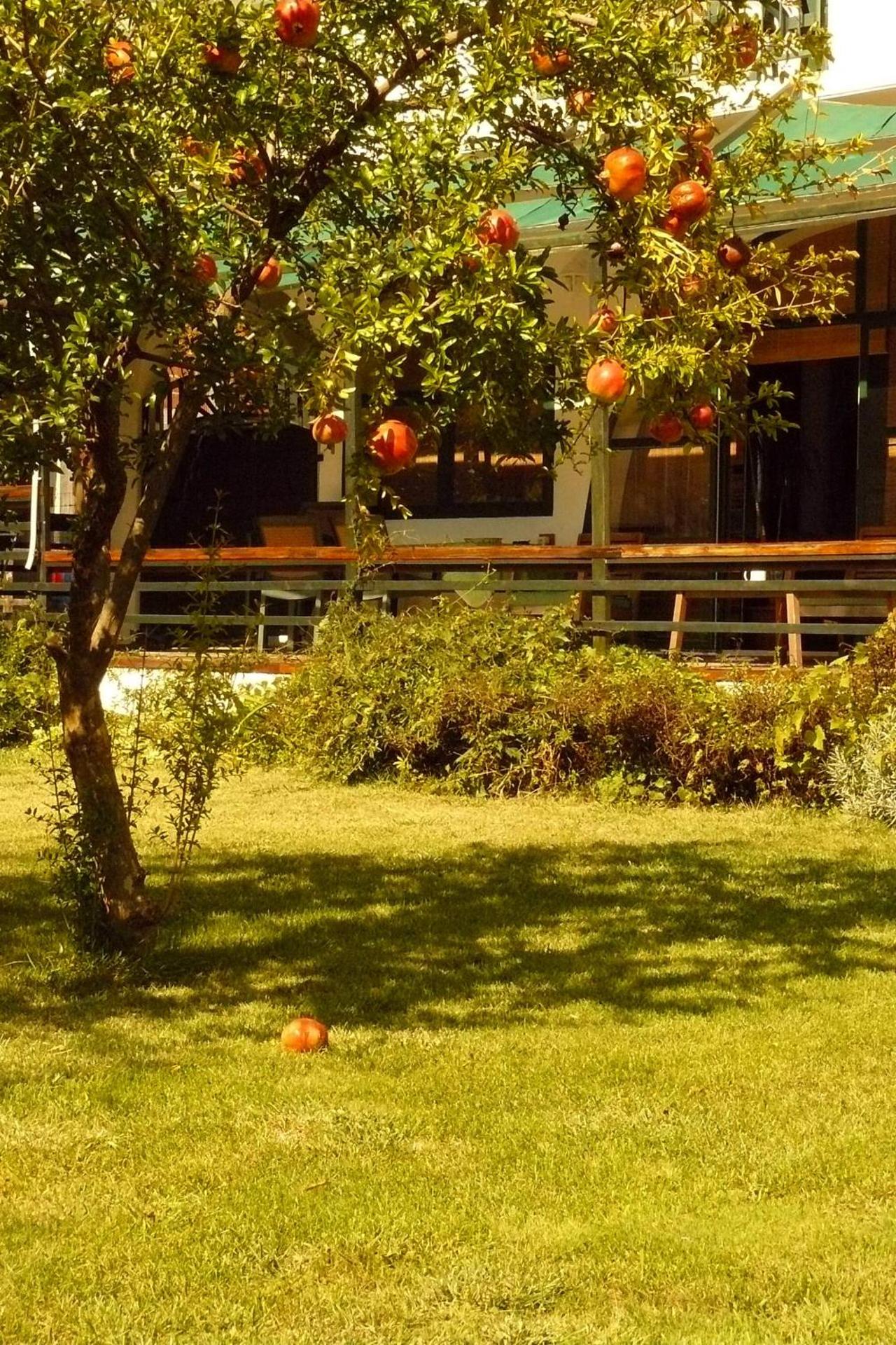 Trogirsunset Apartments - since 2000