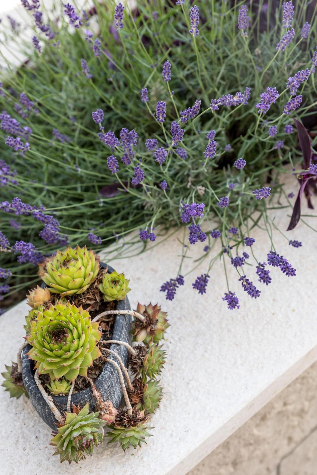 Waterview apartments (Tui Apartment)