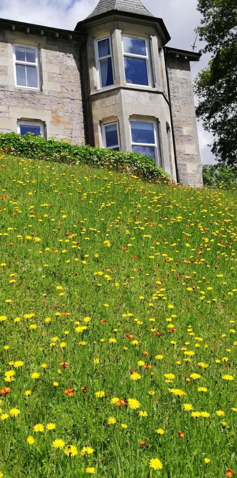 Woodburn ground-floor apartment in quiet setting in Pitlochry