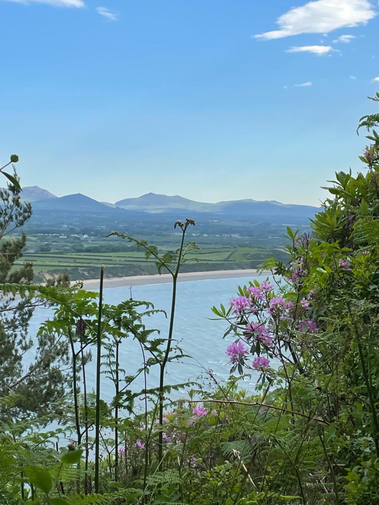 The Cwtch - a self contained one bedroom annex