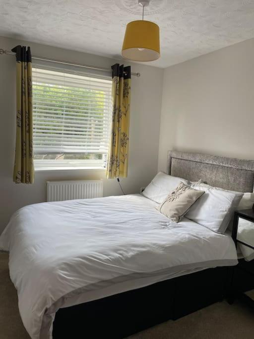 The Cwtch - a self contained one bedroom annex