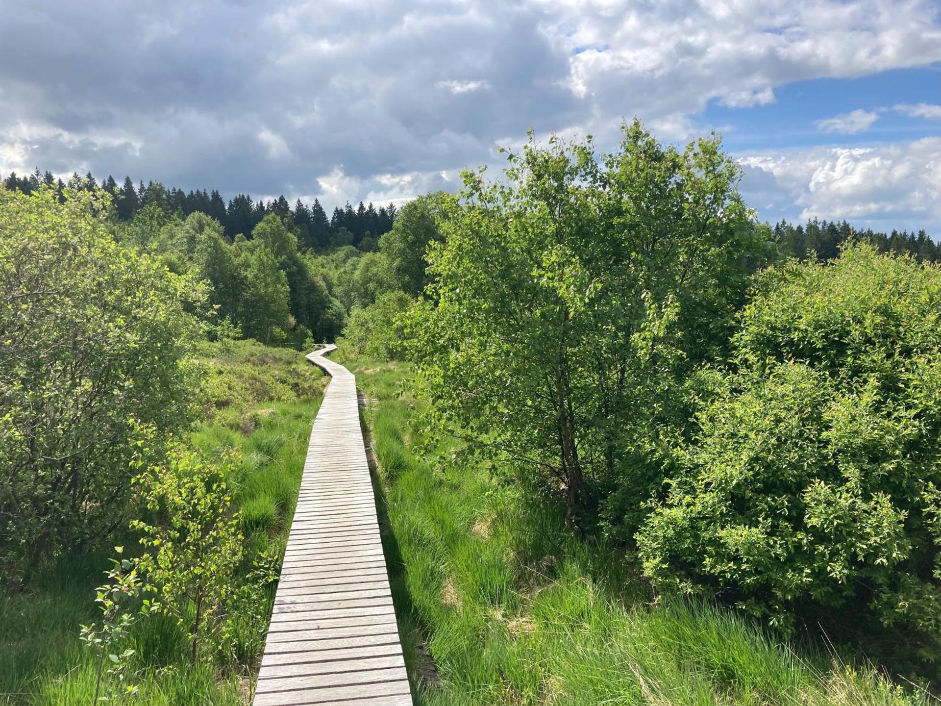 Terrasses de Malmedy Chalet l'undeuxtrois