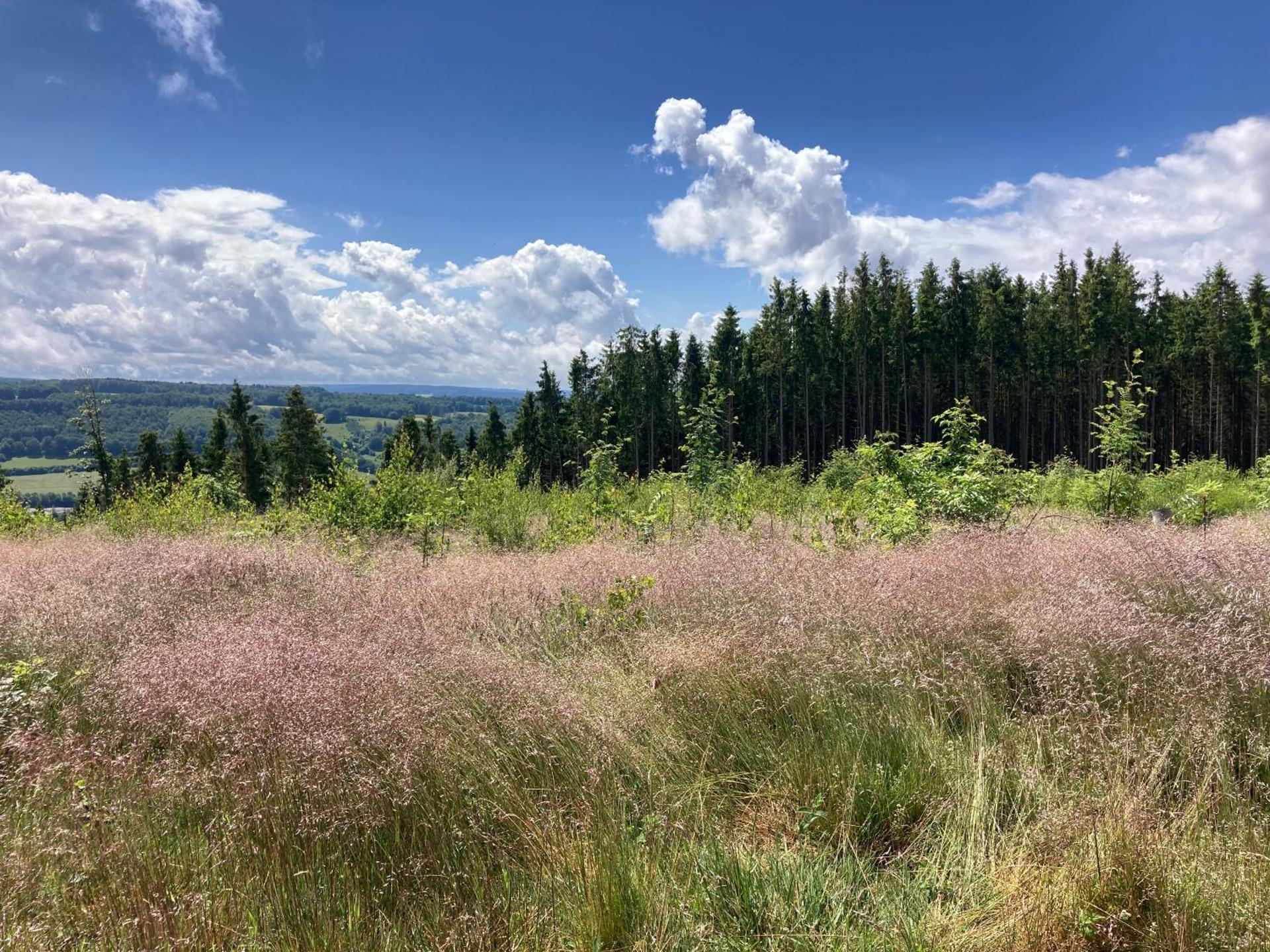Terrasses de Malmedy Chalet l'undeuxtrois