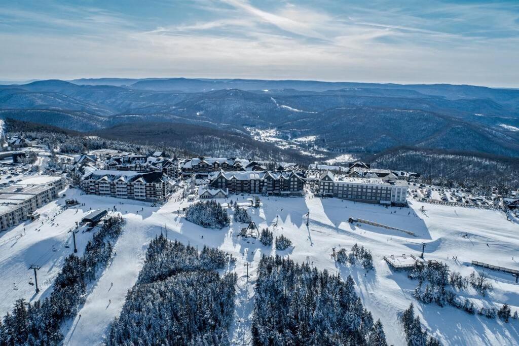 Mountain Lodge getaway, ski-in/ski-out, heart of the village