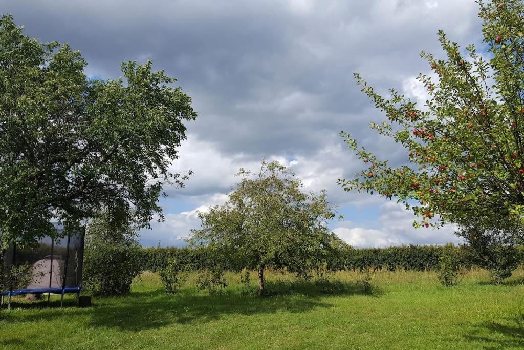 Apartamenty Holiday Slaw jacuzzi bilard