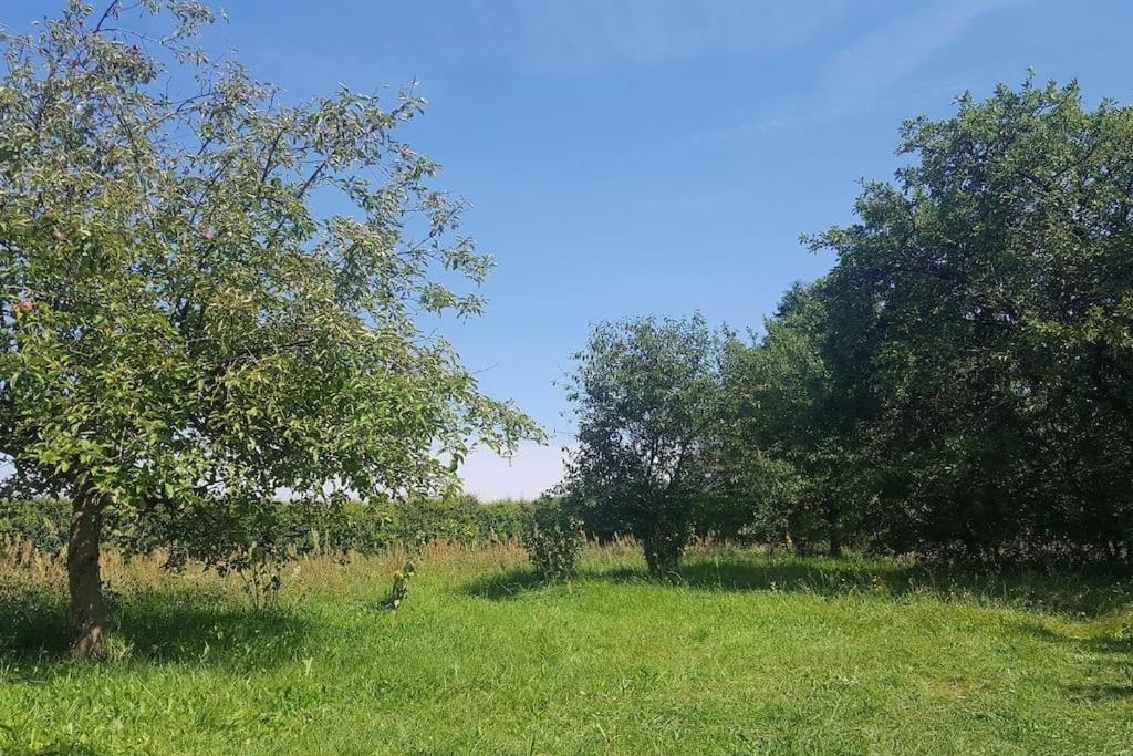 Apartamenty Holiday Slaw jacuzzi bilard