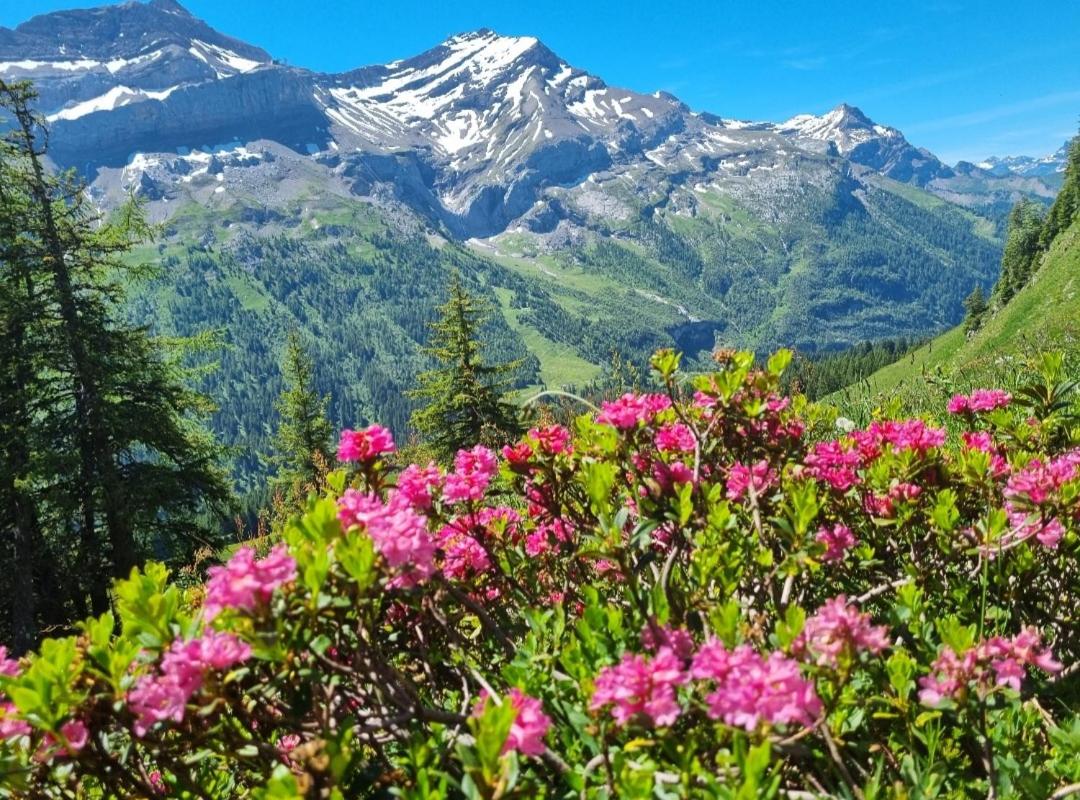 Au Doubs Moment vue exceptionnelle et panoramique