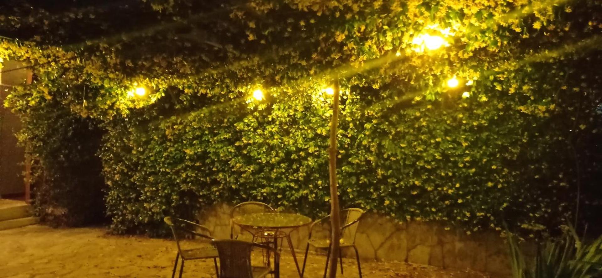 Green house - Apartment in Aridaia-Loutra Pozar