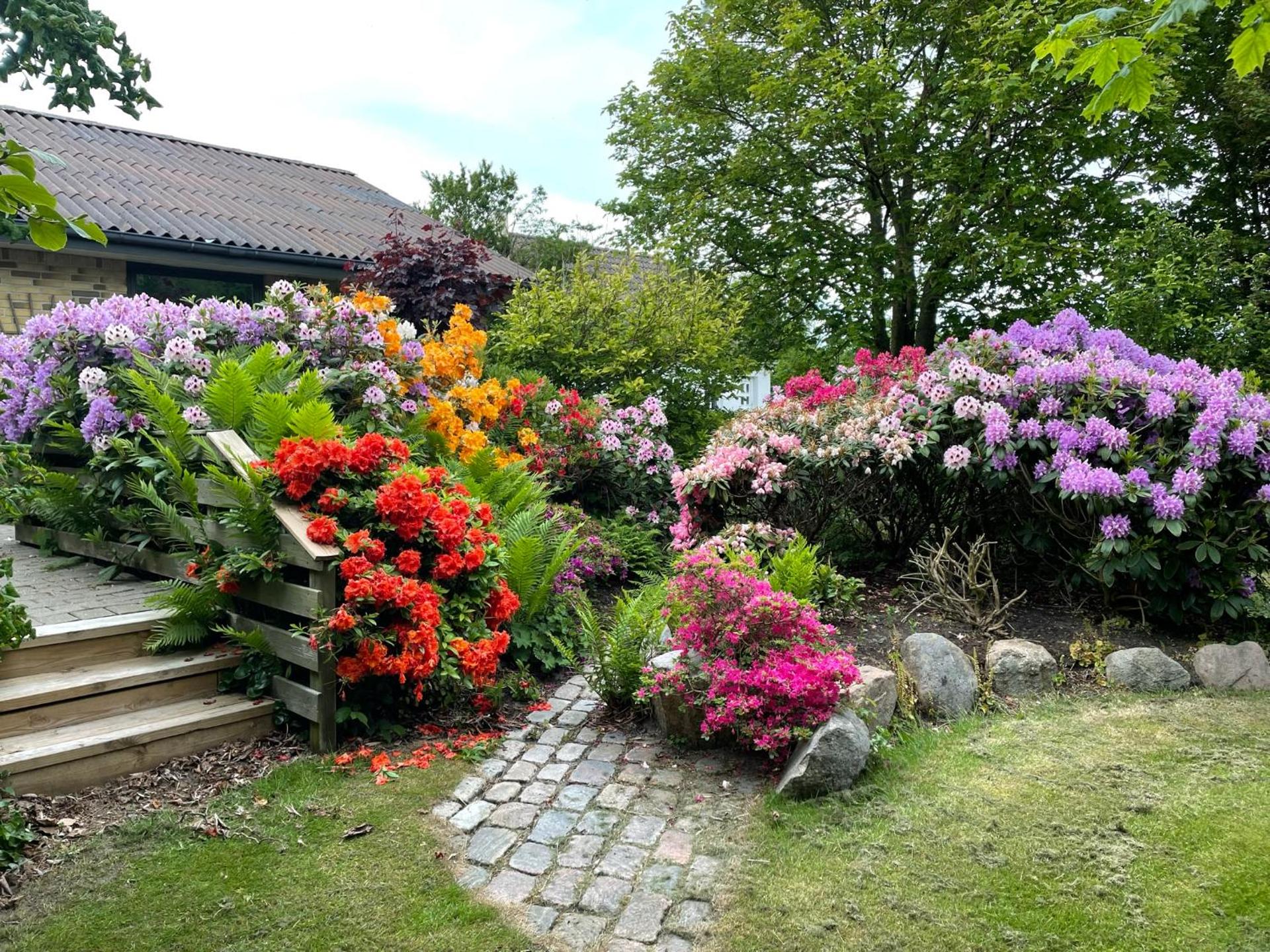 Feriehus-Gammel Byvej, Vrensted