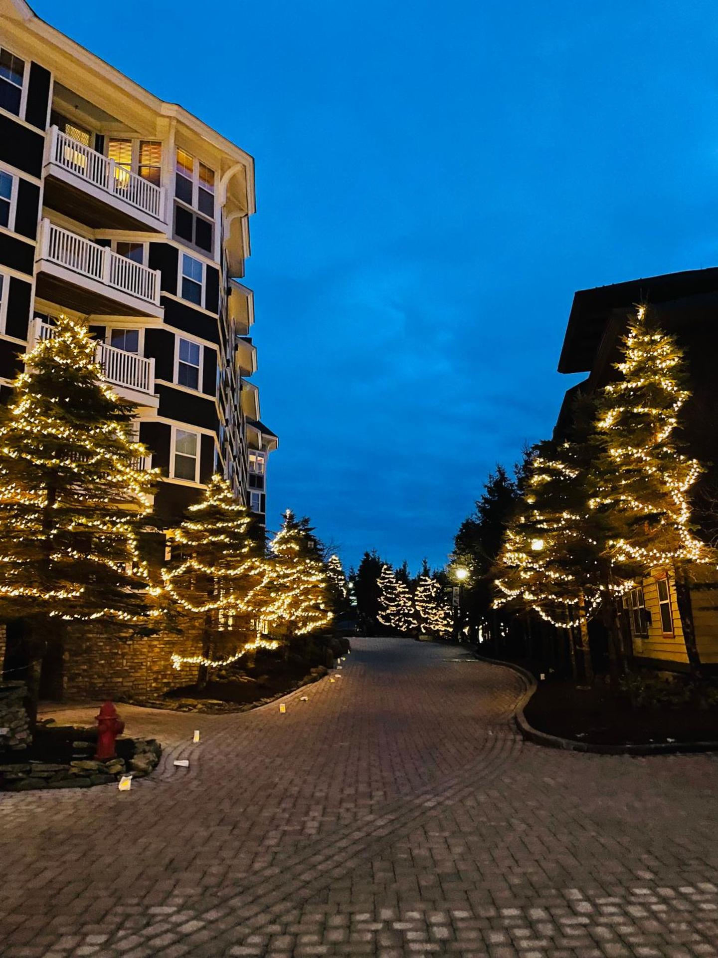 Ski In/Out (In The Village Close To Everything)