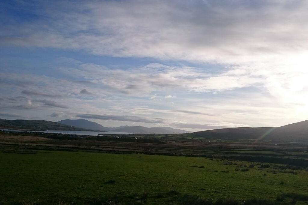 Skellig View Bluebell Rose & The Kerry Cliffs