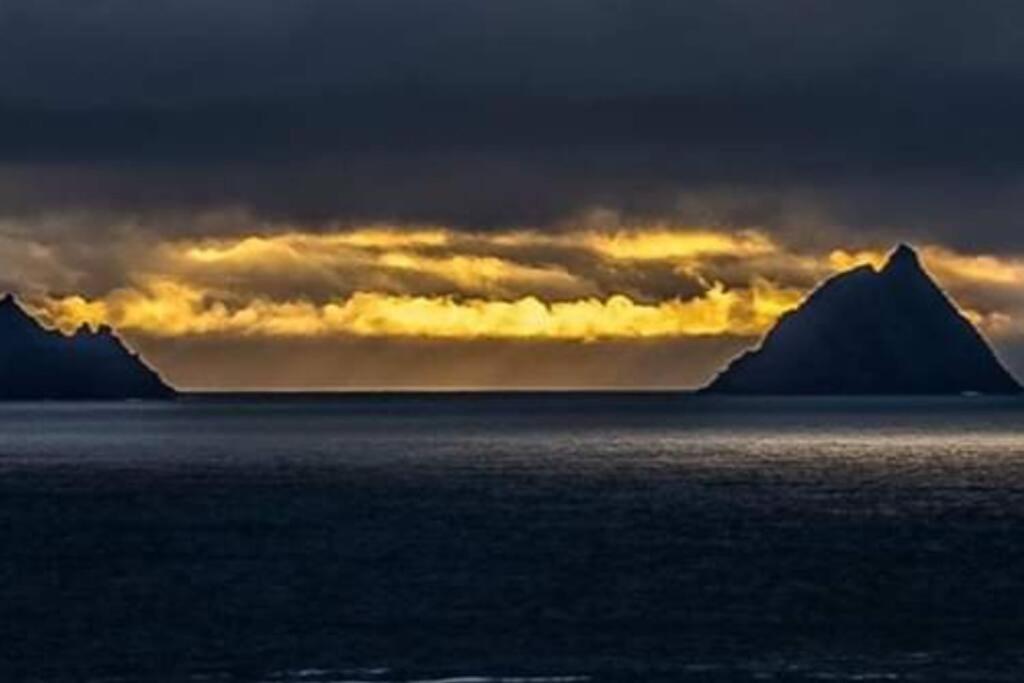Skellig View Bluebell Rose & The Kerry Cliffs